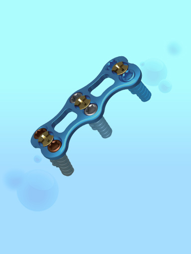Interlocking Intramedullary Nail Series