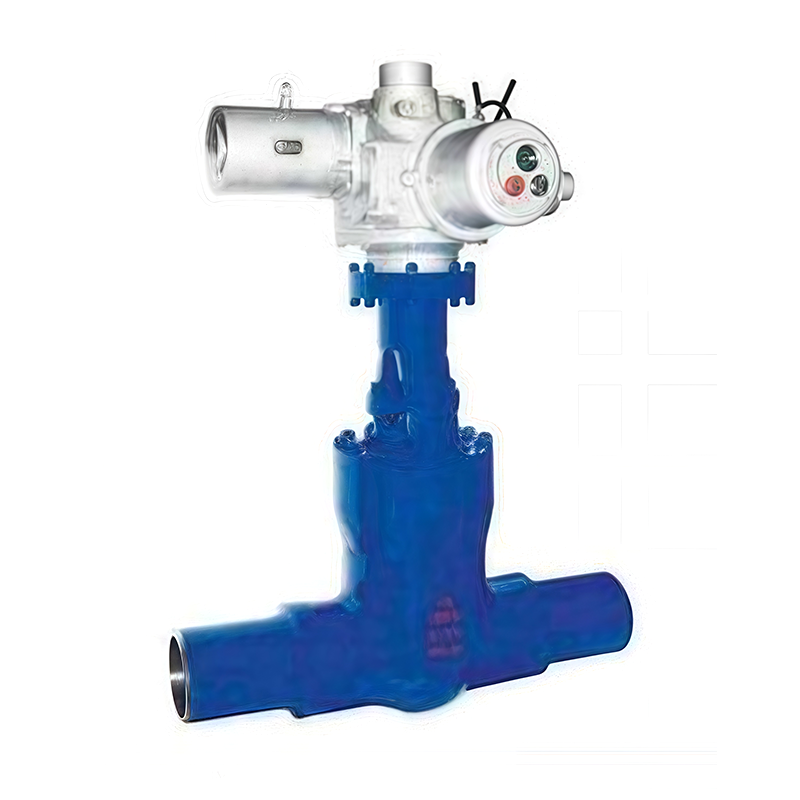 High Temperature High Pressure Power Station Gate Valve