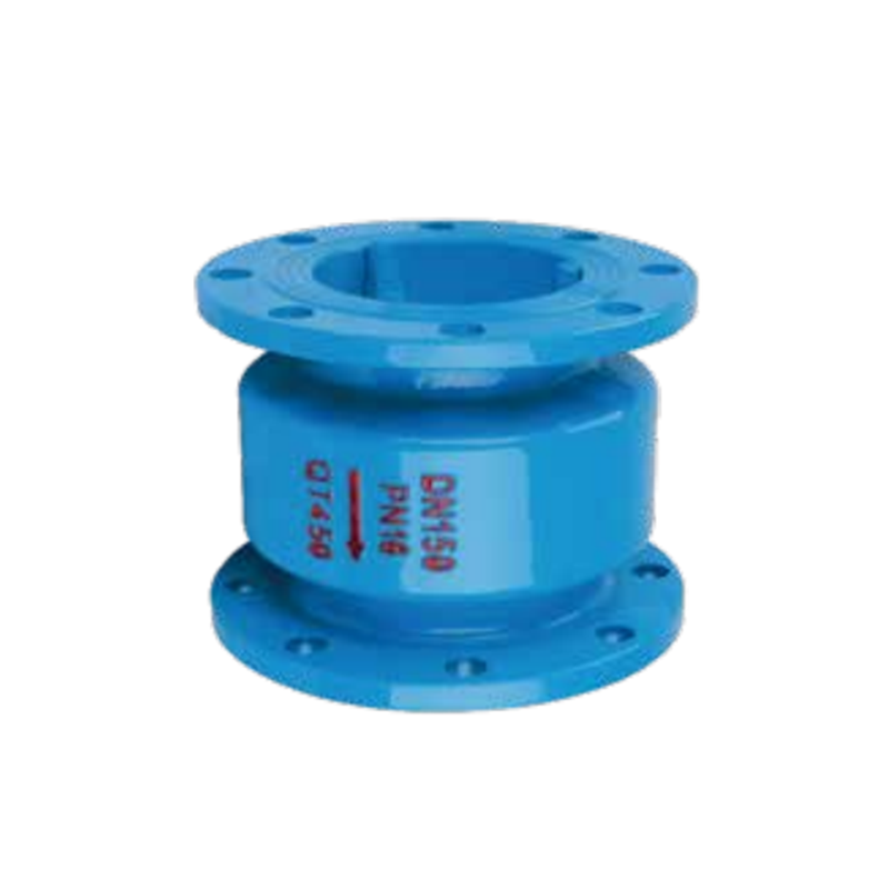 Noise-isolated Check Valve
