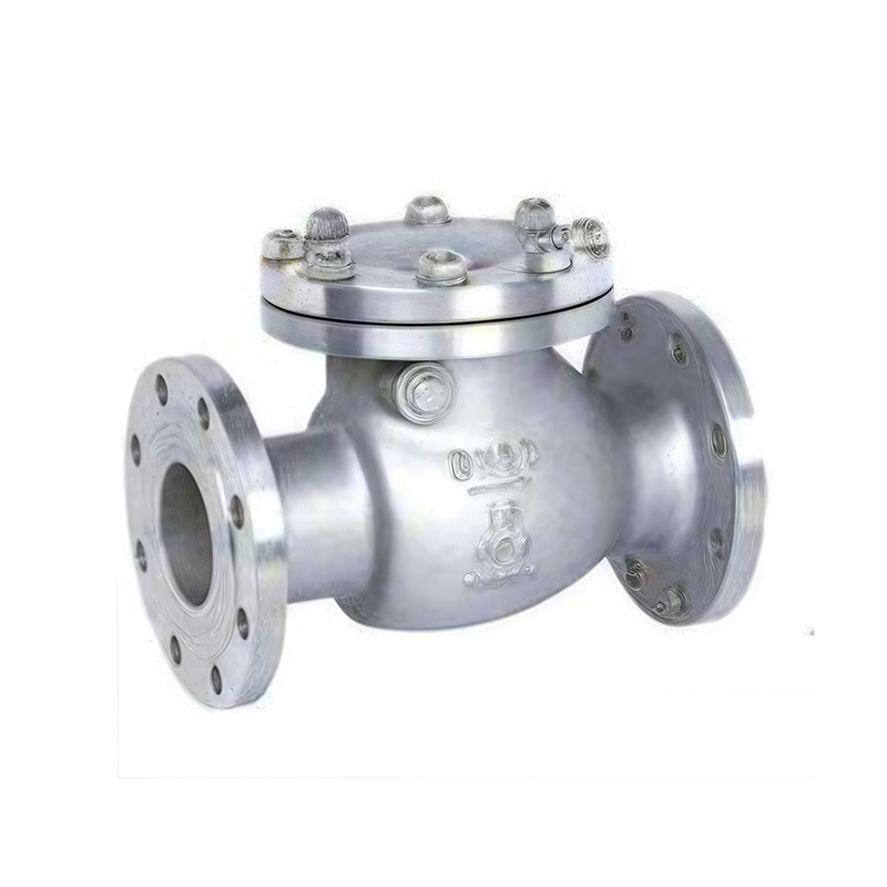 Swing Check Valve