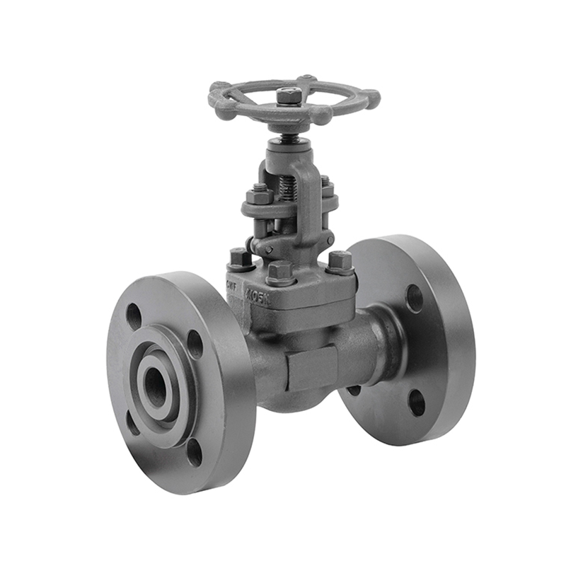 Forged Steel Globe Valve
