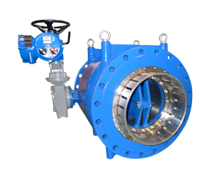 Plunger Valve