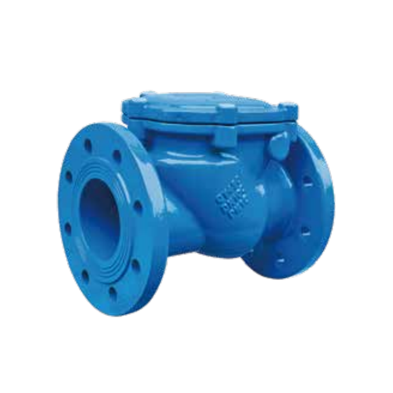 Rubber Disc Check Valve