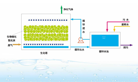 生物催化氧化技術(shù)