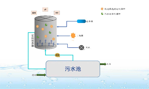 生物擴(kuò)培系統(tǒng)