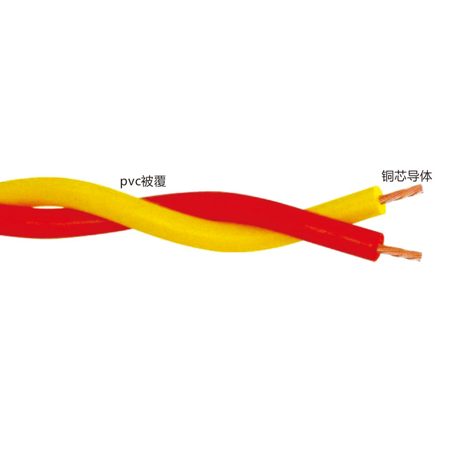 RVS 雙絞線類