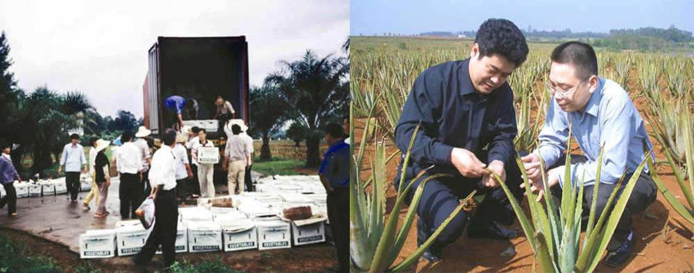 “The way ahead of us is full of both challenges and opportunities, we need to forget the achievements we have got and work hard from now again” ——Thoughts on Jufeel Engaged in Aloe Industry for 20 years