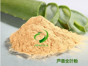 芦荟全叶粉