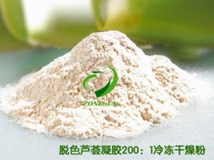 脱色芦荟凝胶200：1冷冻干燥粉