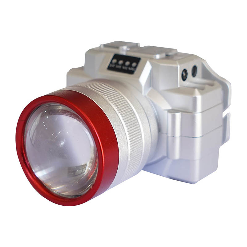 309 zoom head light