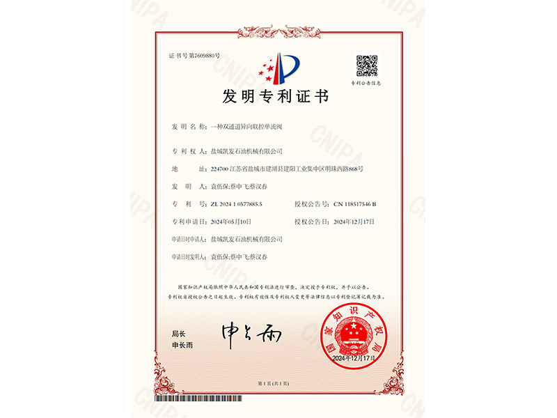 一种双通道异向联控单流阀