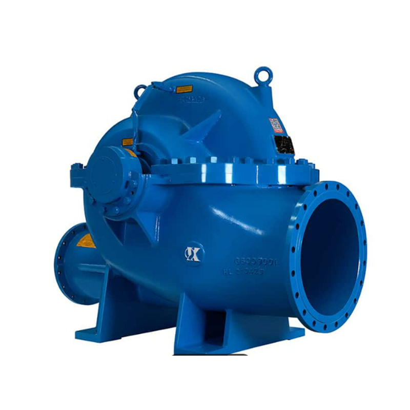 Double suction pump
