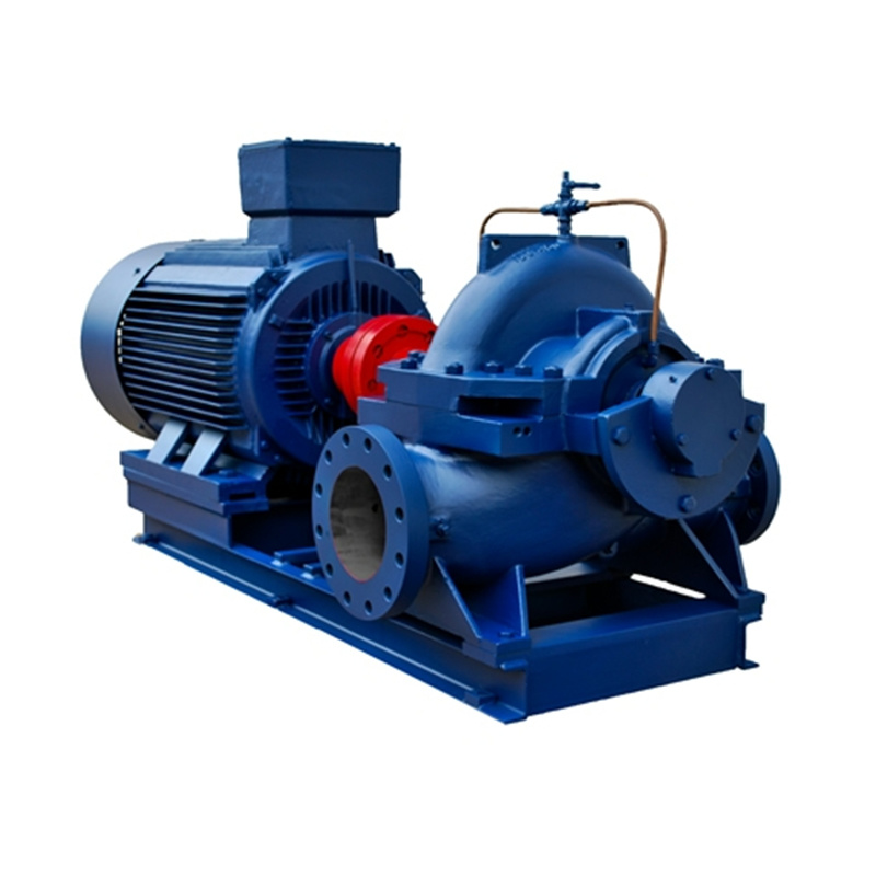 Double suction pump