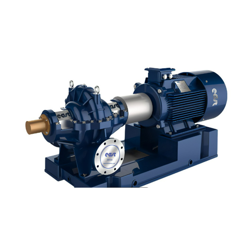 Double suction pump
