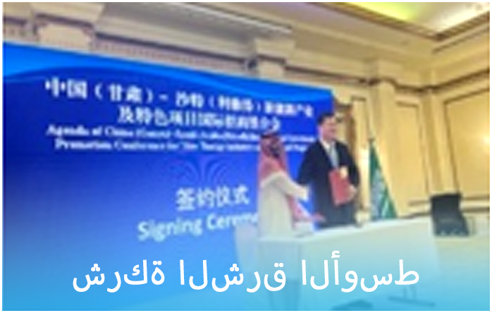Middle east company