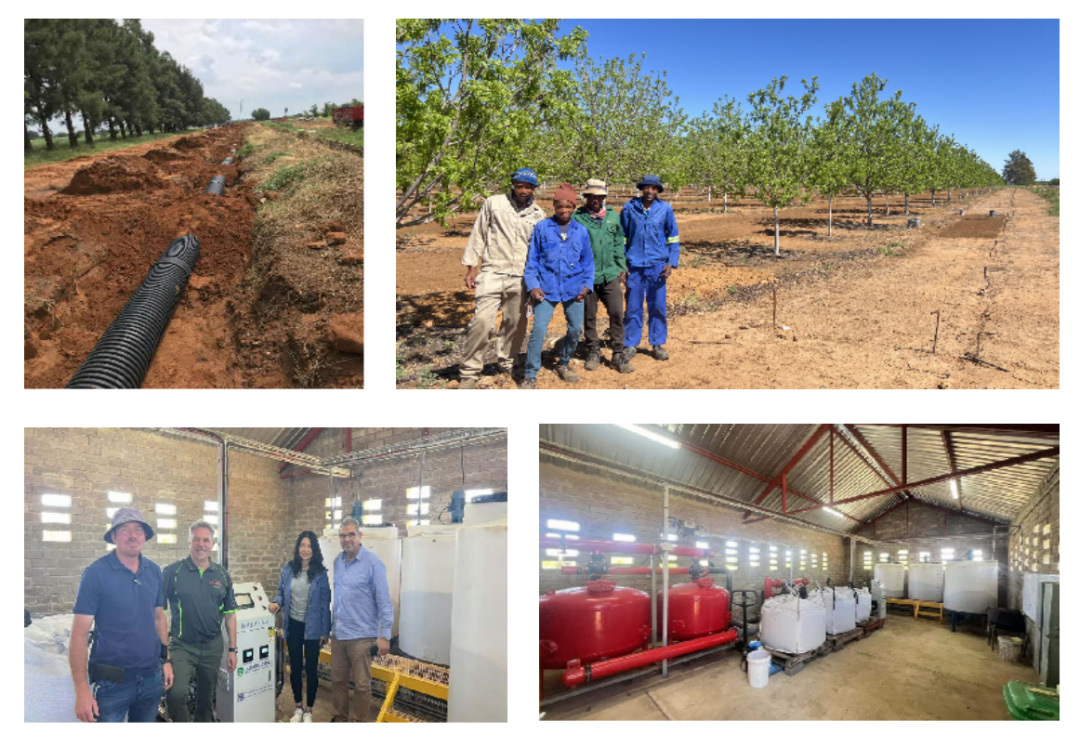 Spring breeze brings joy, DAYU's wisdom irrigates agriculture in many countries