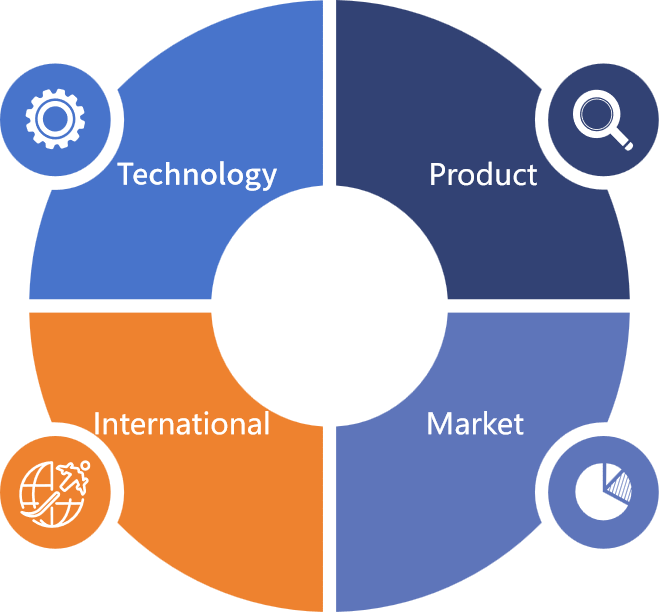 Development Strategy