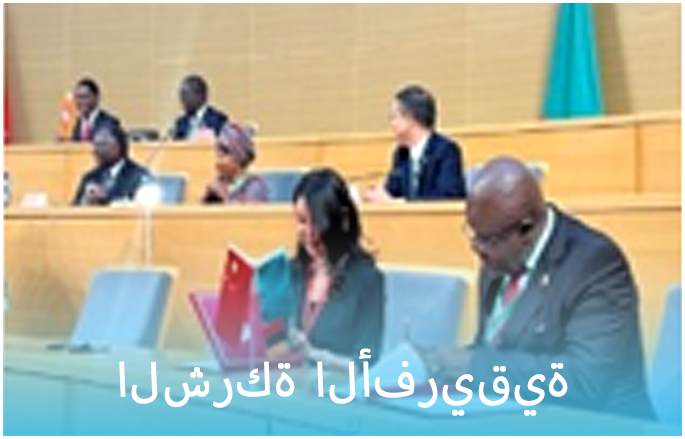 African companies