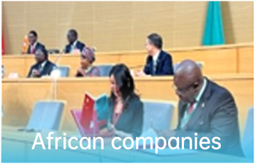 African companies