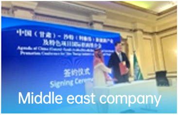 Middle east company
