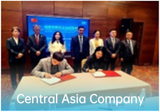 Central Asia Company