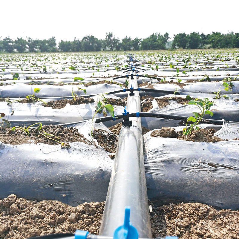 Polyethylene (PE) Hose