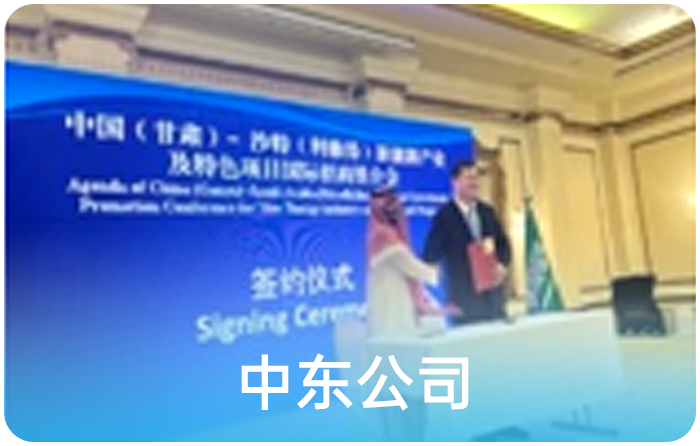 中东公司 中东公司