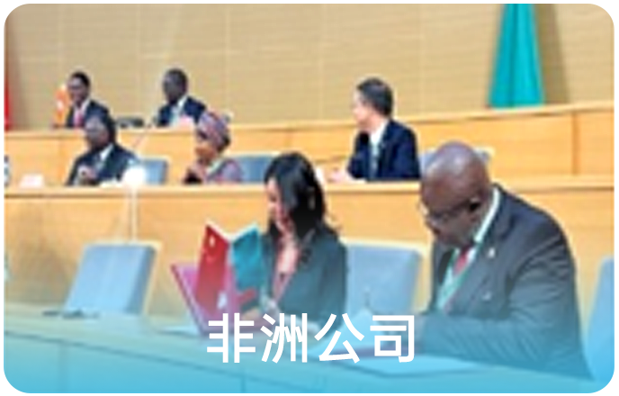 非洲公司 非洲公司