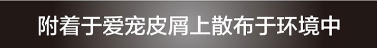 艾露沛 狗狗皮屑去除液355ml 洗澡免洗宠物沐浴露