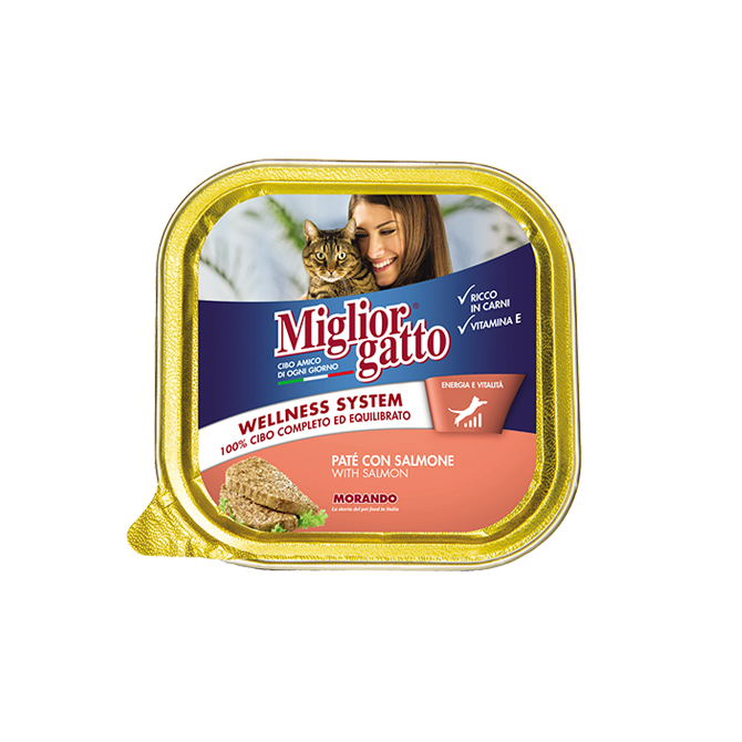 经典系列-肉泥猫粮-三文鱼100g 100gr_salmone.png