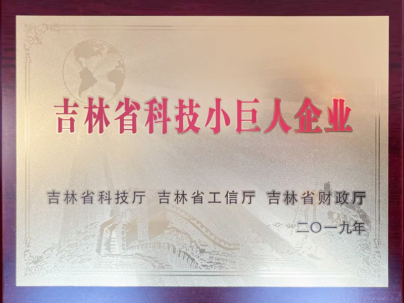 吉林省科技小巨人企业