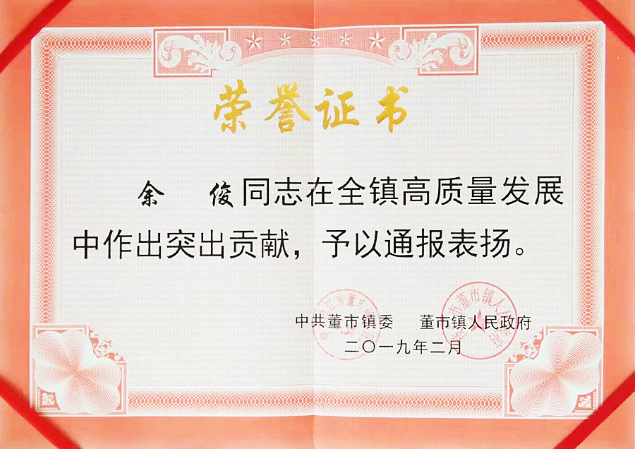 在全镇高质量发展中做出突出贡献（余俊）