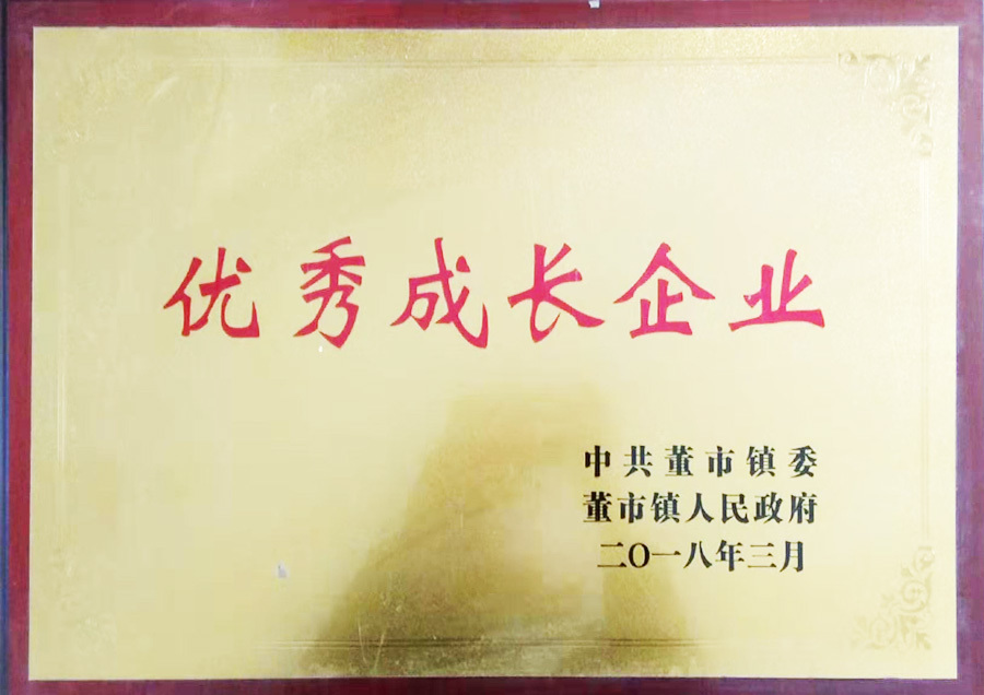 优秀成长企业