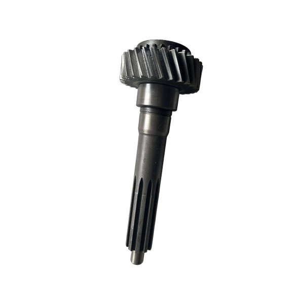 Input shaft