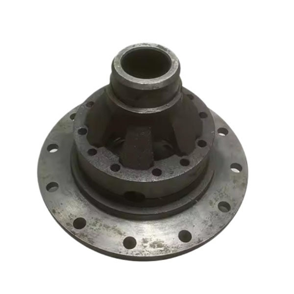 Rear axle differential case