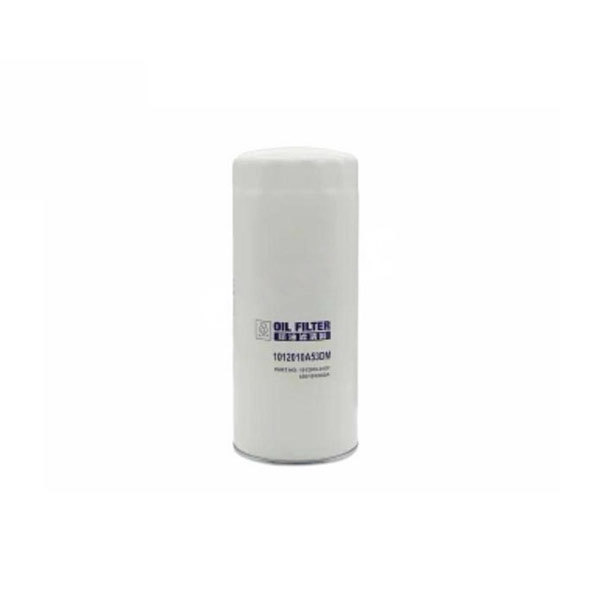 Manufacturers sell special truck filters 1012010A53DM