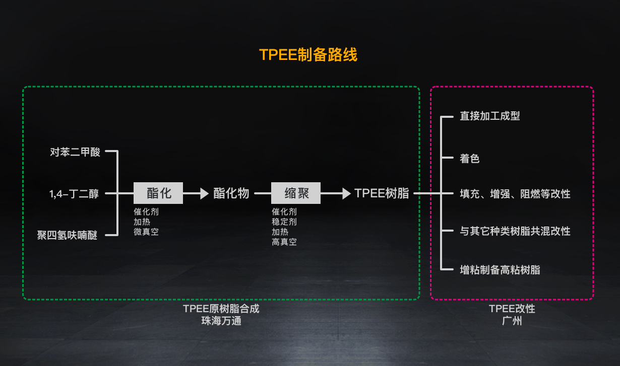 TPE/TPV