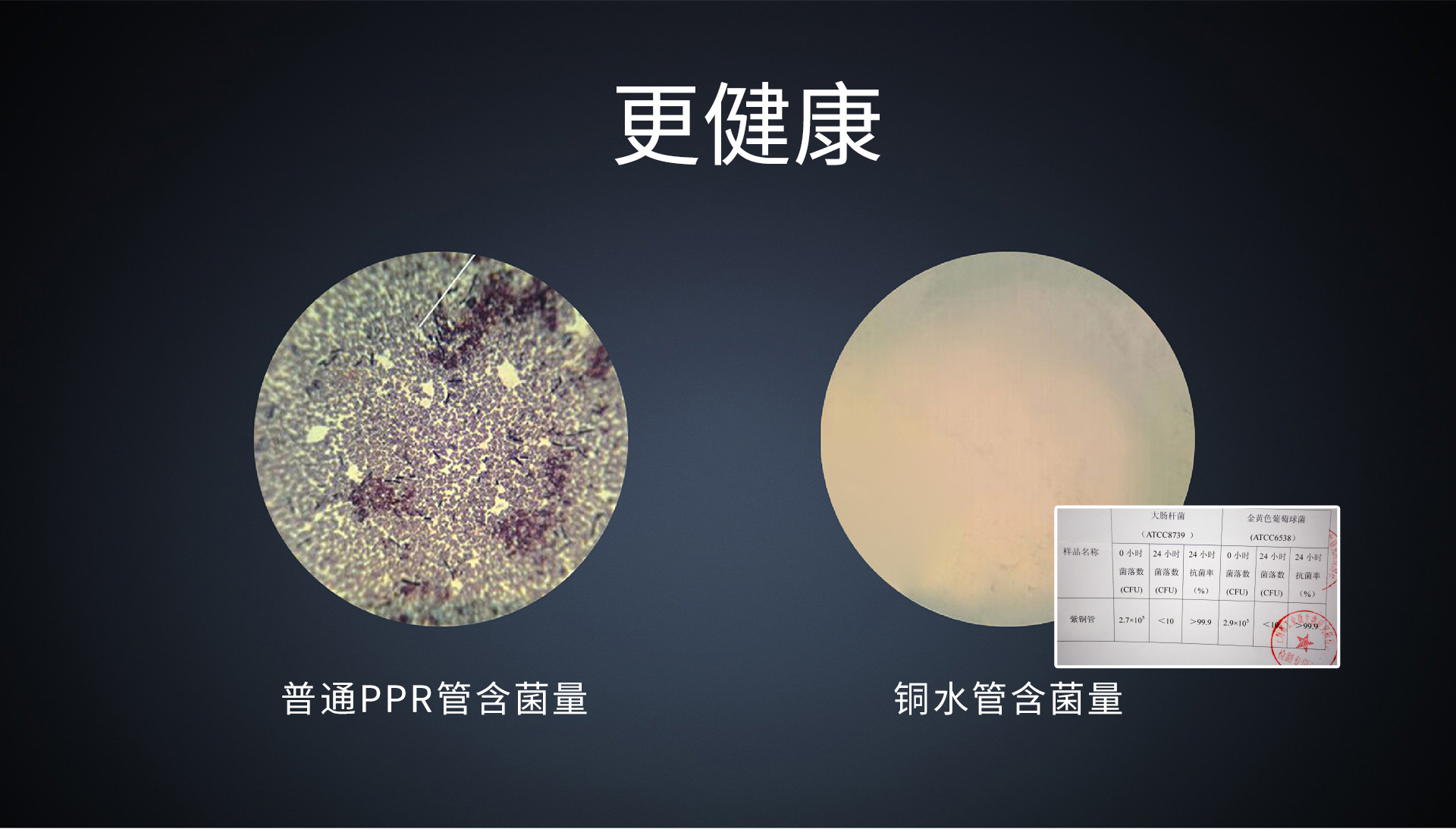 皇家PP-R衬铜管