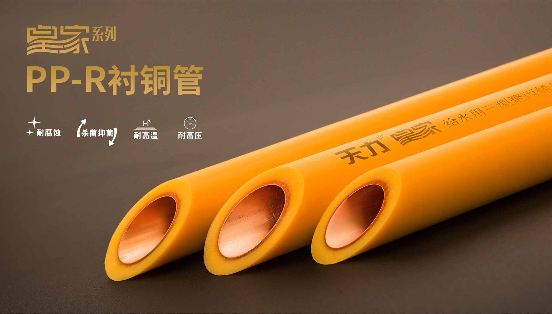 皇家PP-R衬铜管