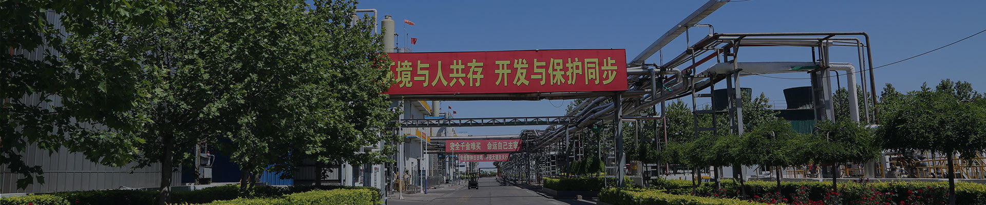 走进诚信