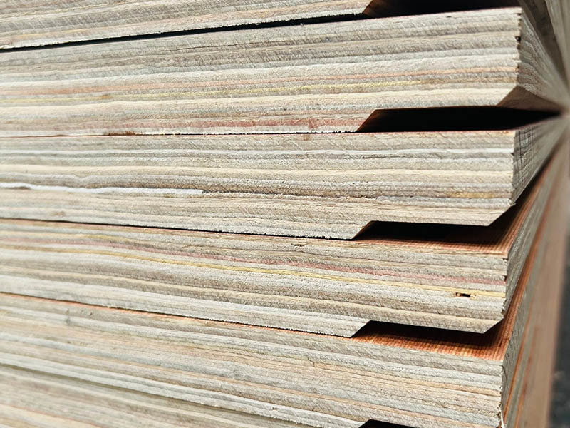 China Container Flooring Plywood