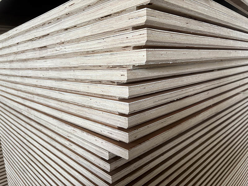 Container Flooring Plywood