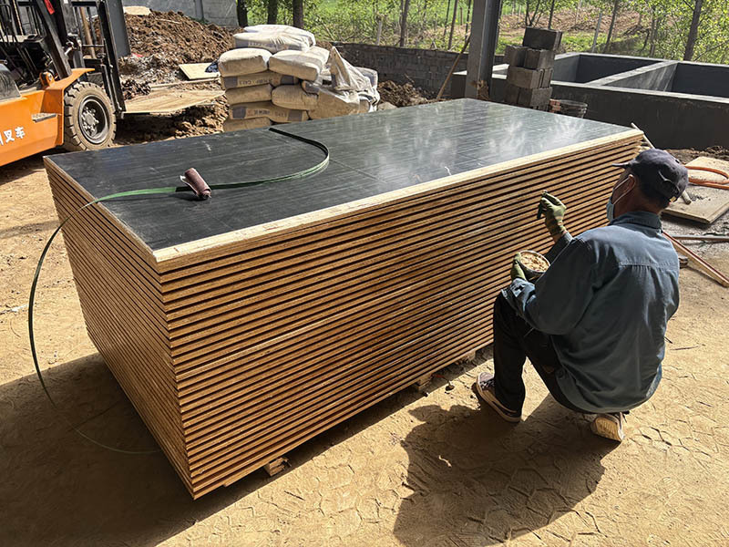 Container Flooring Plywood