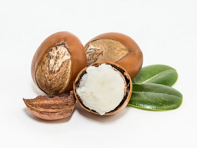 Shea Nut