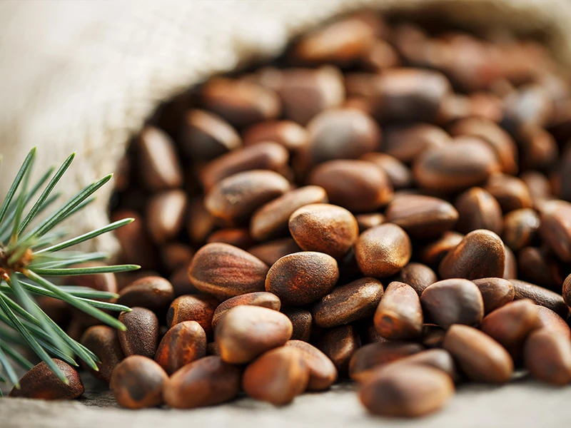 Pine Nut Oil