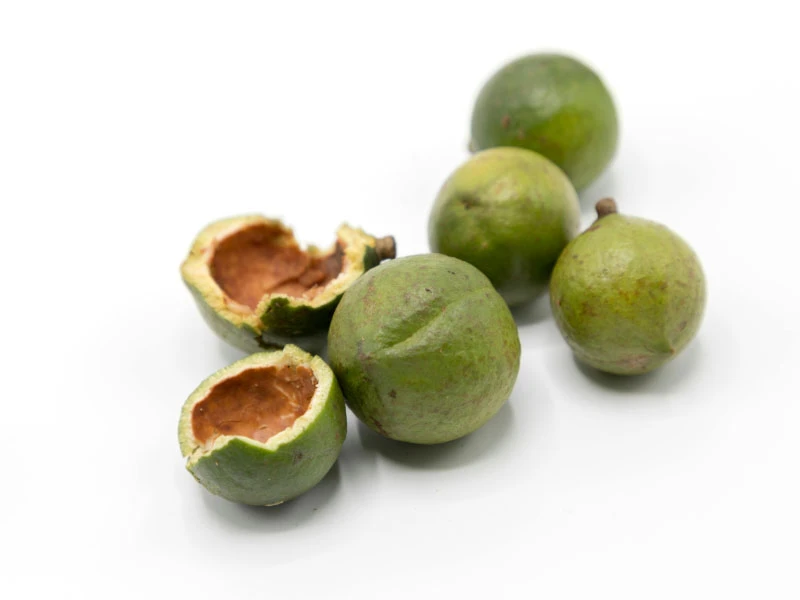 Macadamia nuts oil