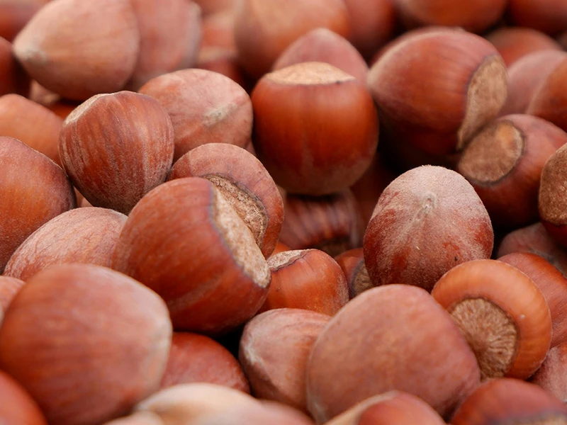 Hazelnut Oil