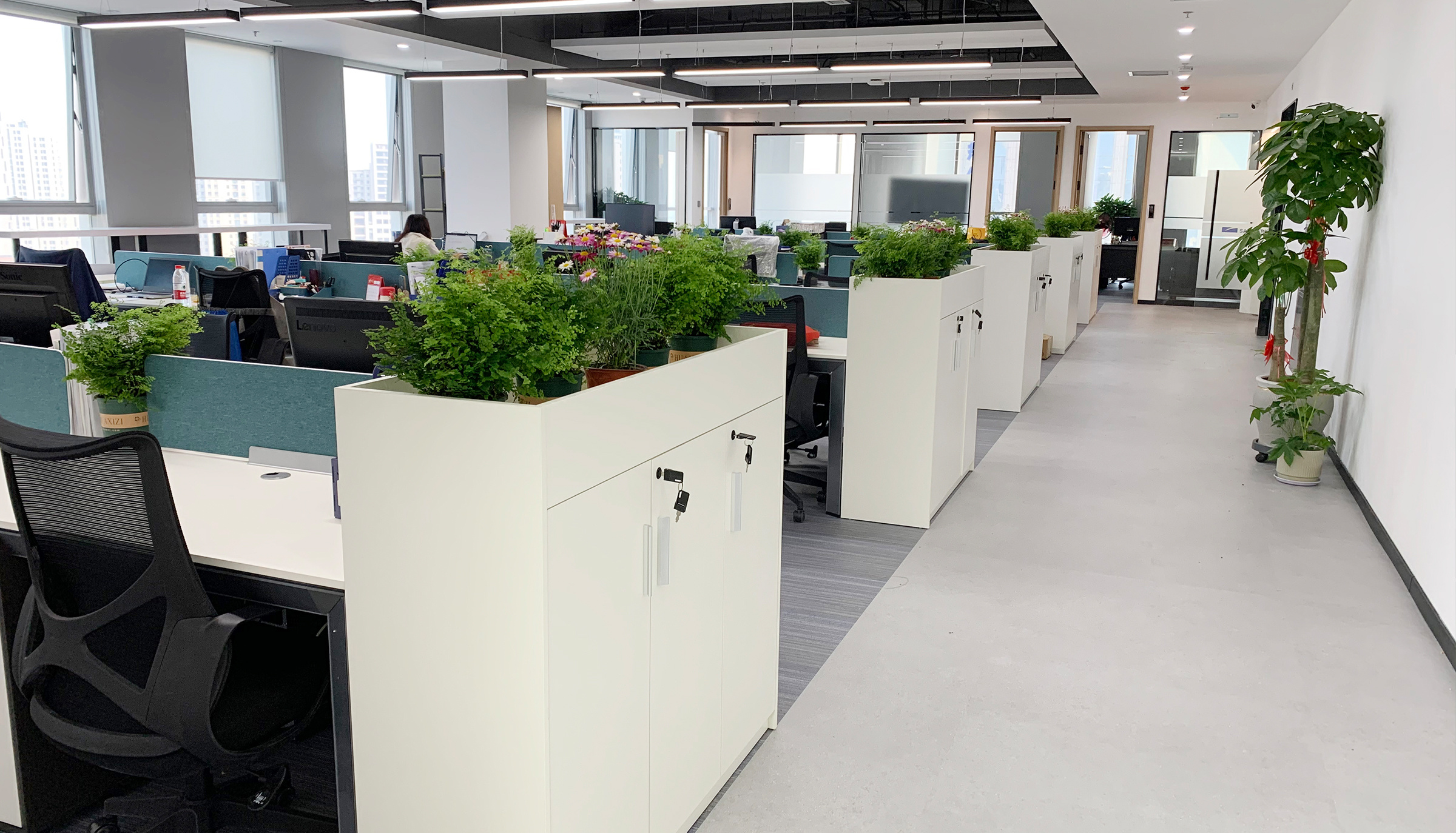 Working Environment
