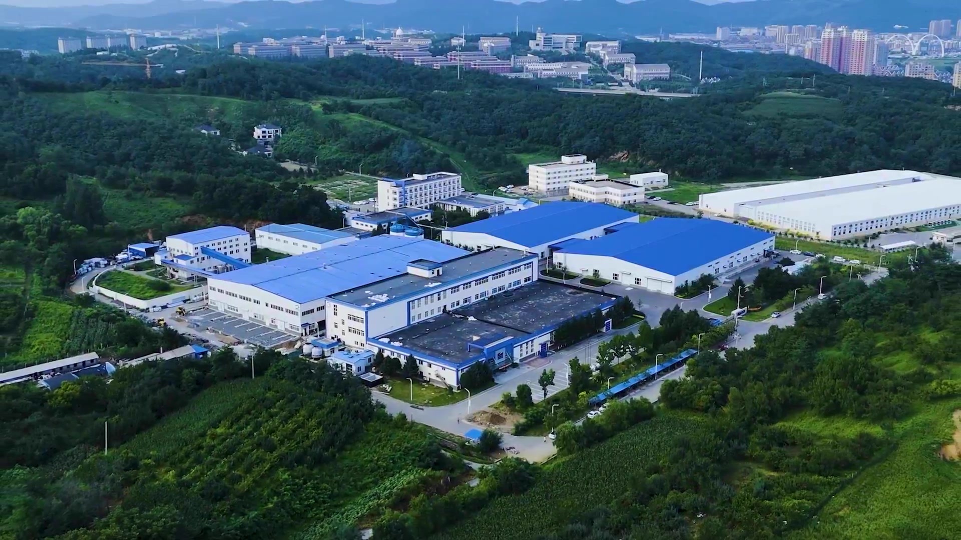High-quality producer of nutritional oils to the global market
