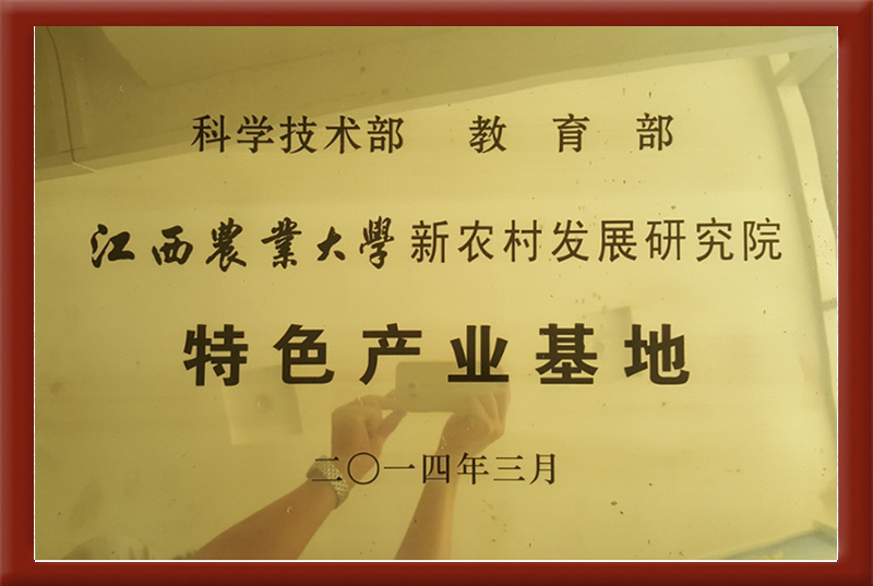 特色產(chǎn)業(yè)基地